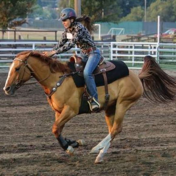 Meet your Posher, Victoria - Picture 1 of 1